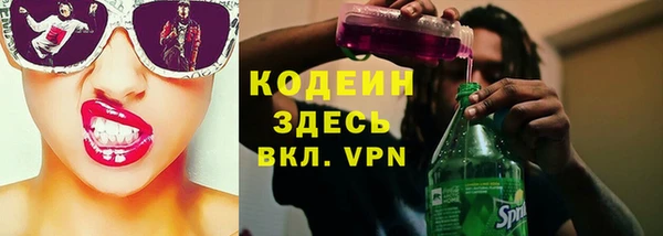 прущие грибы Богородицк