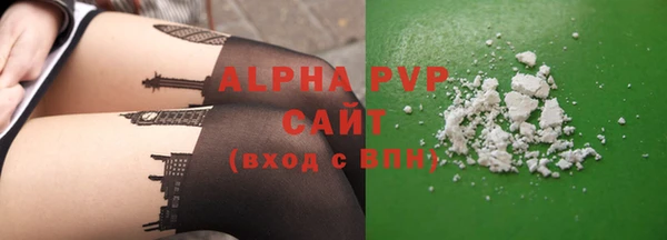 прущие грибы Богородицк