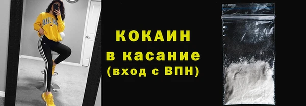 прущие грибы Богородицк