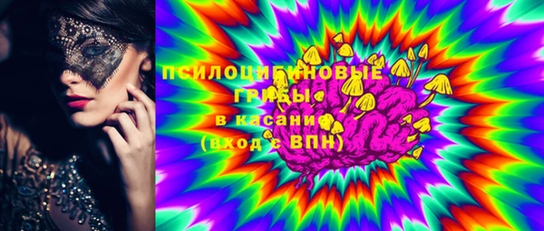 прущие грибы Богородицк
