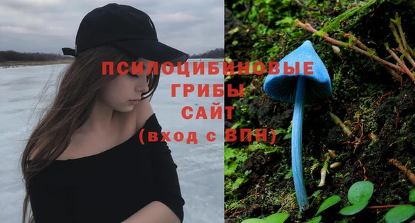 таблы Богородск