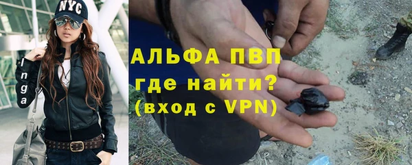 прущие грибы Богородицк