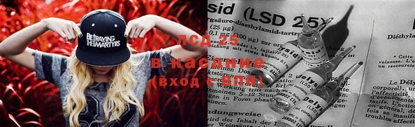 гашиш Богданович