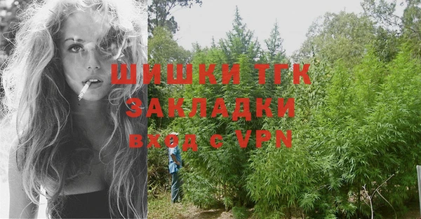 гашиш Богданович