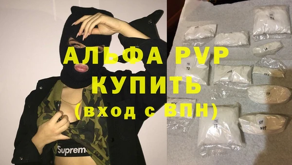 прущие грибы Богородицк
