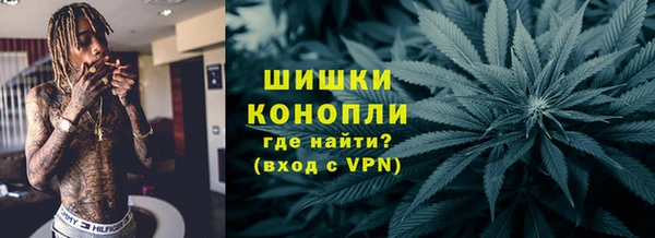 прущие грибы Богородицк