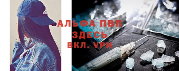 прущие грибы Богородицк