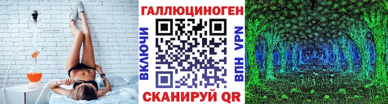 Купить закладки  Дубовка  Галлюциногенные грибы Psilocybe 